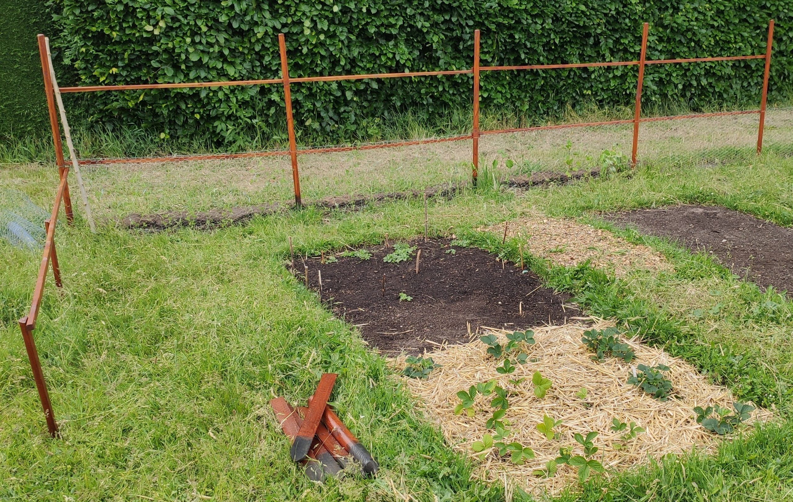 Staketenzaun zum Schutz vor Hunden und anderen Tieren