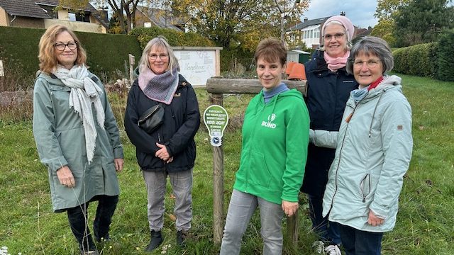 Warum wir nachts auf Licht verzichten – und warum das gut ist